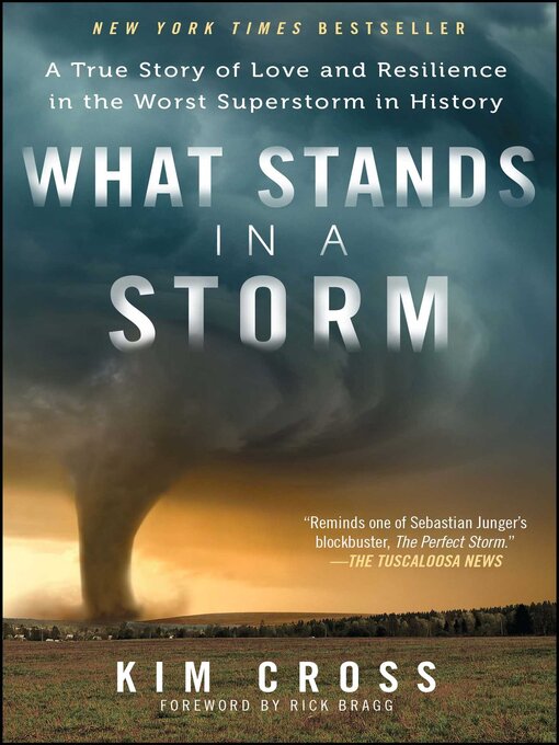 Title details for What Stands in a Storm by Kim Cross - Wait list